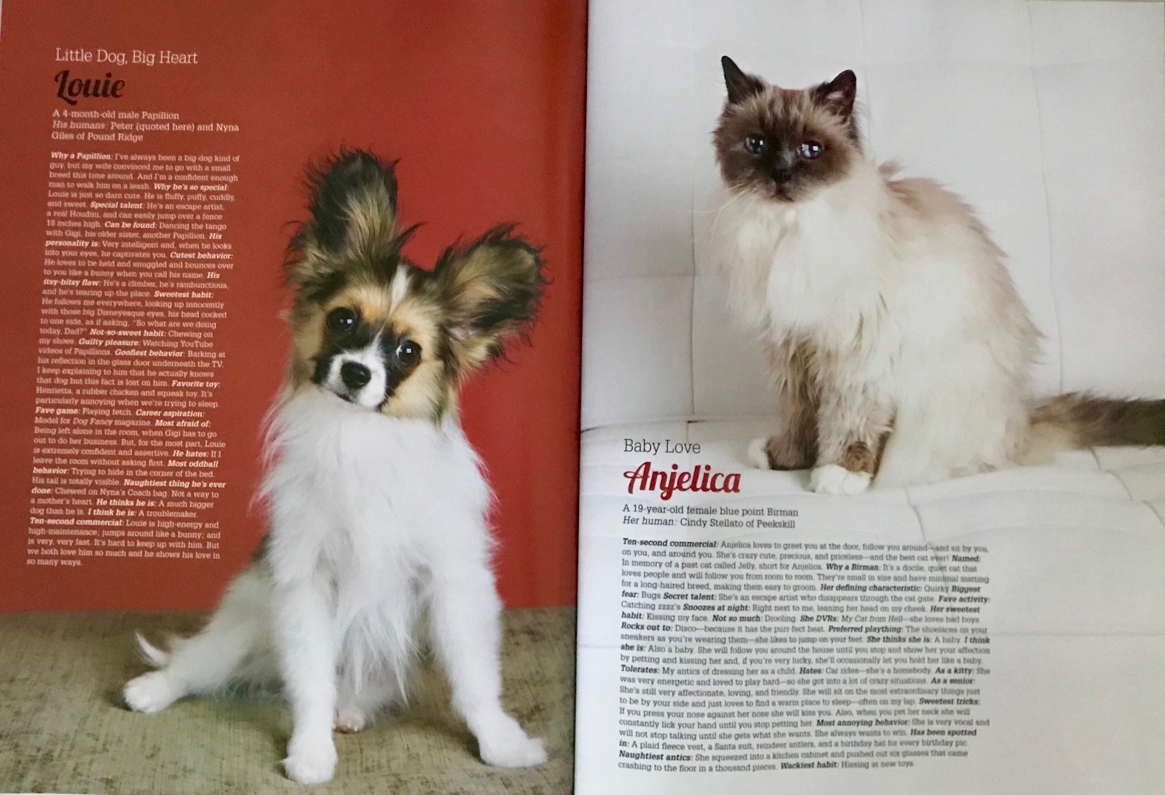 2014SeptemberWestchesterMagazinepage2