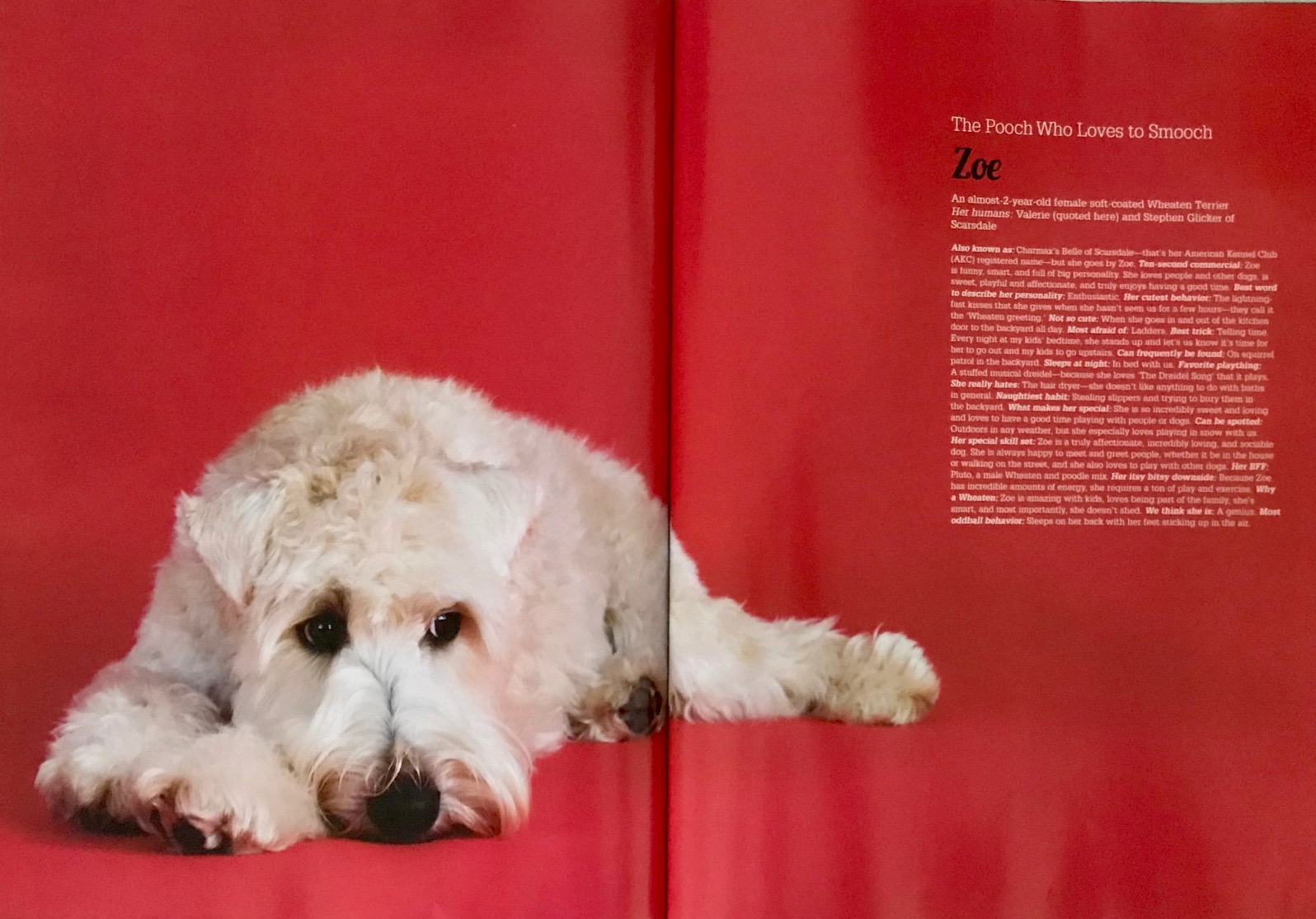 2014SeptemberWestchesterMagazinepage4